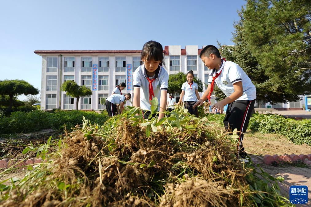 集结号游戏充值中心